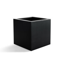 Argento Cube