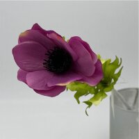Anemone purple 40 Cm
