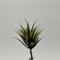 Succulent Aloe 13 Cm