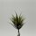 Succulent Aloe 13 Cm