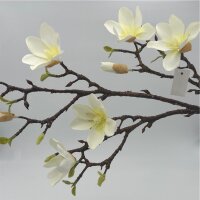 Magnolia creme 70 Cm
