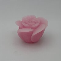 Kerzenrosen rosa