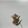 Heleborus pink x 3 Blüte 30 cm