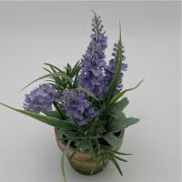 Lavendel im Keramiktopf Topf 9 cm