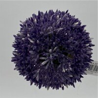 Allium Lavendel 67 cm