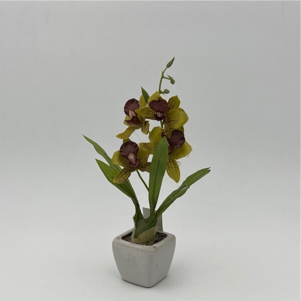 Orchidee im Topf, sortiert 18cm, weiss-lavendel-creme-grün