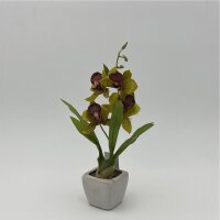 Orchidee im Topf, sortiert 18cm,...