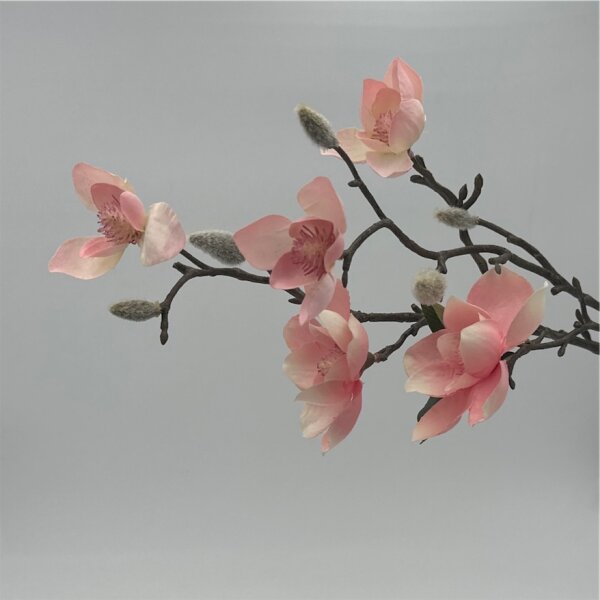 Magnolie mit 5 Blüten pink 64 cm, pink