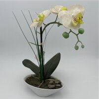Orchidee Phalaenopsis "Naturel" in weisser Schale