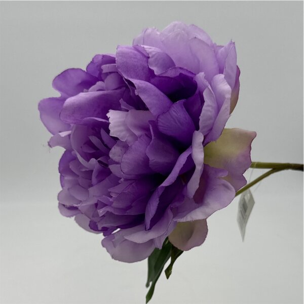 Peonie Lavender 56 Cm