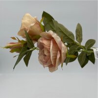 Rose verzweigt altrosa 3 Blüten 65 Cm