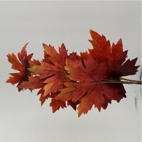 Ahorn-Blätter Herbstfarb,55 Cm