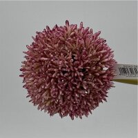 Allium 67 cm Lila