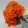 Chrysanthemen Sträußchen m.7 Blüten  Orange