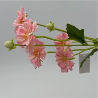 Cosmea rosa mit 5 Blüten 70 Cm