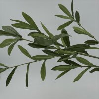 Grünzweig Olive 80 Cm