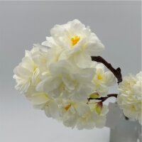 Kirschblüten Creme 40 cm