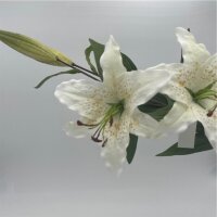 Lilie mit 2 Blühten creme 84cm