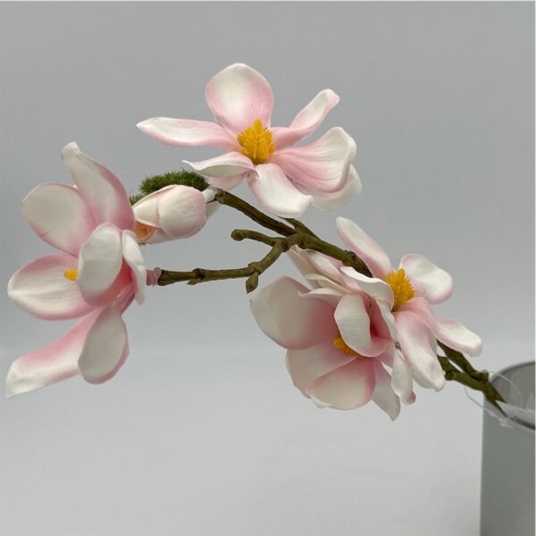 Magnolia Pick m.4 Blüten und Knospen Rosee 40 Cm
