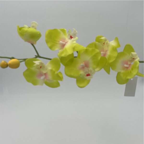 Orchidee Grün mit 6 Blüten 72 cm