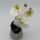 Orchidee im Silbertopf 20 cm  Creme