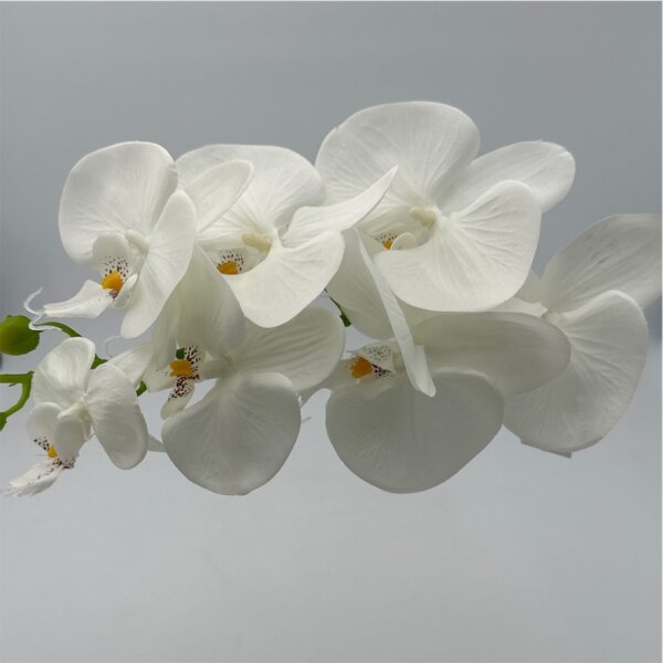 Orchidee mit 7 Blüten 83 cm