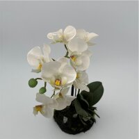Orchide mit Erdballen 31cm