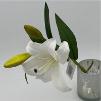 Lilienzweig Weiß 1 Blühte 2 Knospen