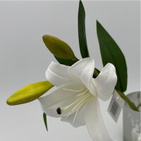 Lilienzweig Weiß 1 Blühte 2 Knospen