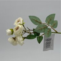 Rosenzweig 50 cm Weiß 5 Blühten