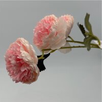 Ranunkeln gefüllt rosa 3 Blüten