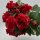 Rosenstrauß 57cm Rot 15 Blüten