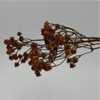Zweig Pfauenauge 75 cm Braun